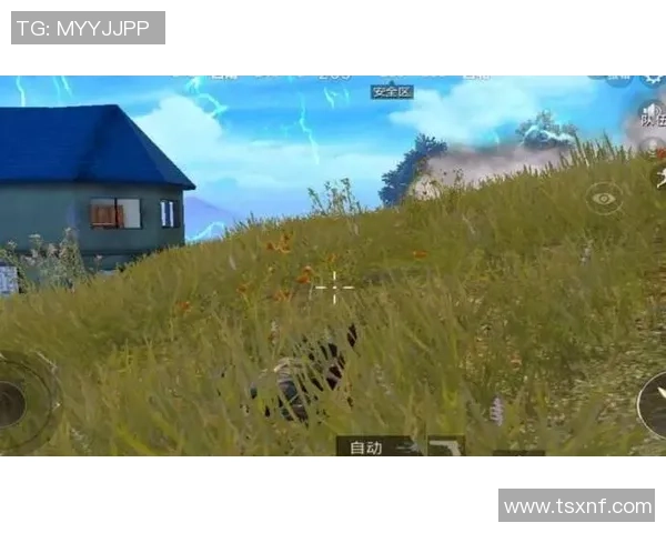 张静专访揭秘和平精英成功背后的秘诀与未来发展方向