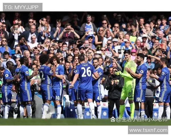 切尔西与曼城激烈对抗赛引发场内冲突球迷情绪高涨 切尔西与曼城激烈对抗赛引发场内冲突球迷情绪高涨