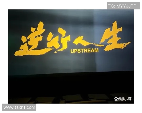 张昊：从平凡到卓越的奋斗之路与人生哲学探讨